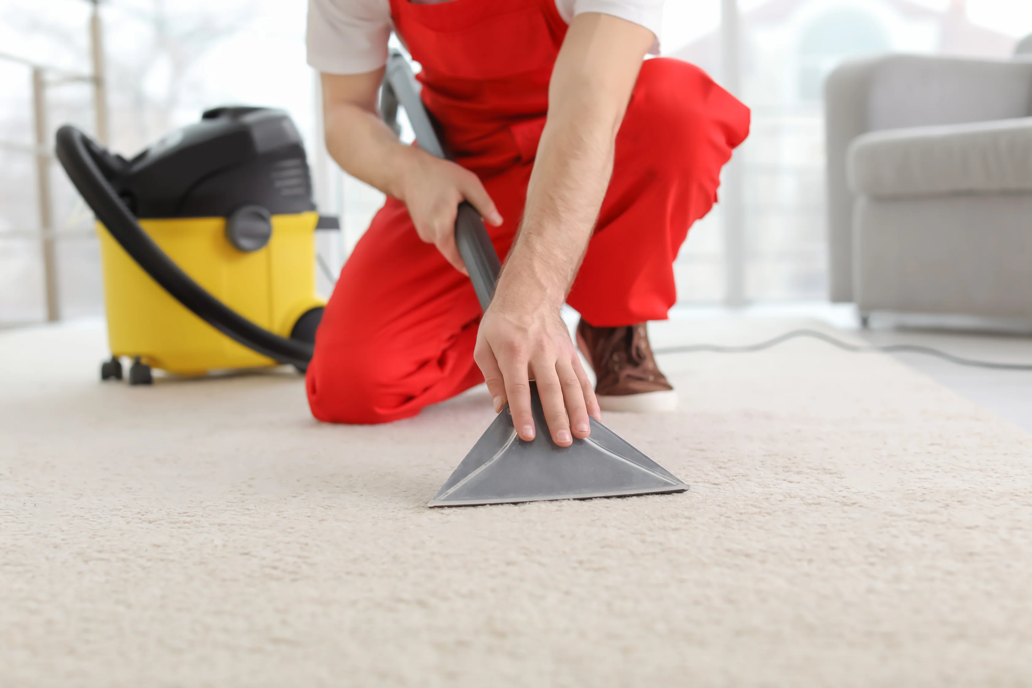 Professional Carpet Washing for a Fresher Home 2